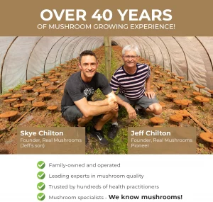 Organic Lions Mane Extract Capsules