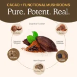 Real Mushroom Mushroom Hot Chocolate Mix Ingredients