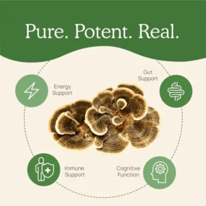 Real Mushroom Turkey Tail Mushroom Capsules Benefits