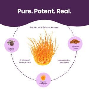 Cordyceps Mushroom Capsules