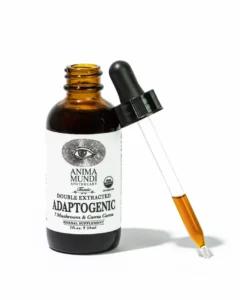 Adaptogenic Tonic | 7 Mushroom + Camu Camu