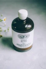 Adaptogenic Tonic | 7 Mushroom + Camu Camu