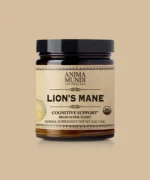 LION'S MANE | Brain Super-Tonic