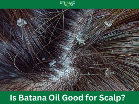Is-Batana-Oil-Good-for-Scalp-1.webp