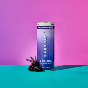 blackberry lavender cantrip blackberries