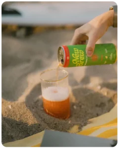 New Brew Seltzer Berry