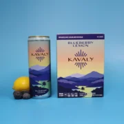 Kavaly Original Blueberry Lemon Kava-Infused Sparkling Tonic pack