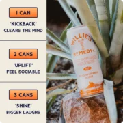 Willie’s Remedy Passion Orange Guava flavor Sparkling Seltzer