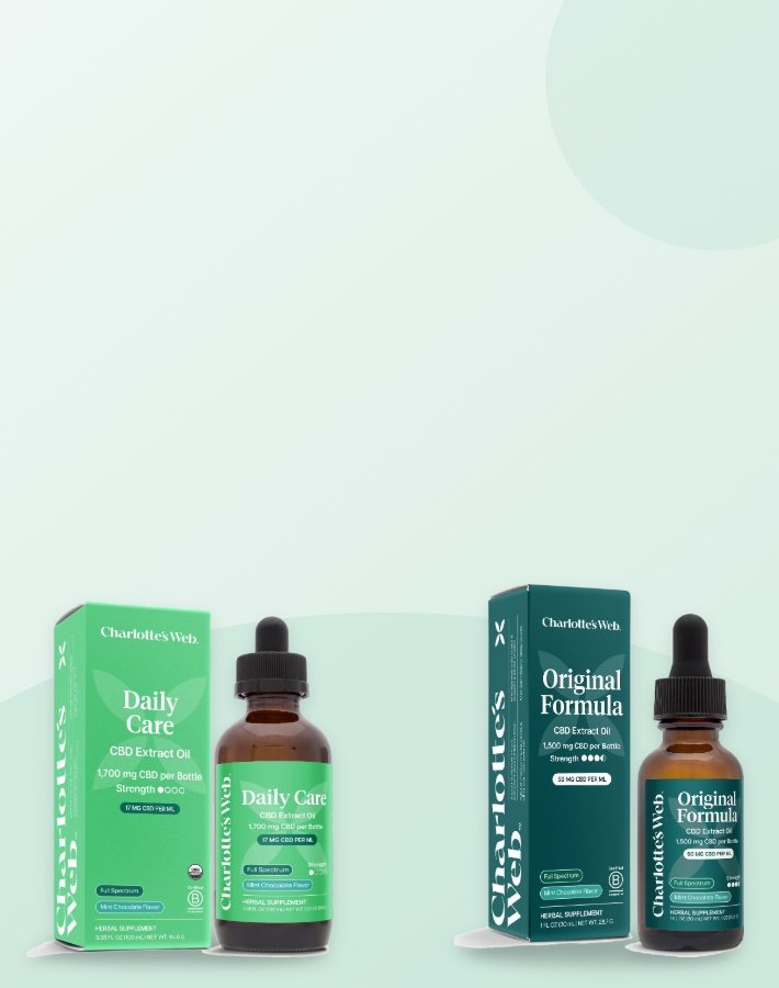 Charlotte's Web wellness oil tinctures